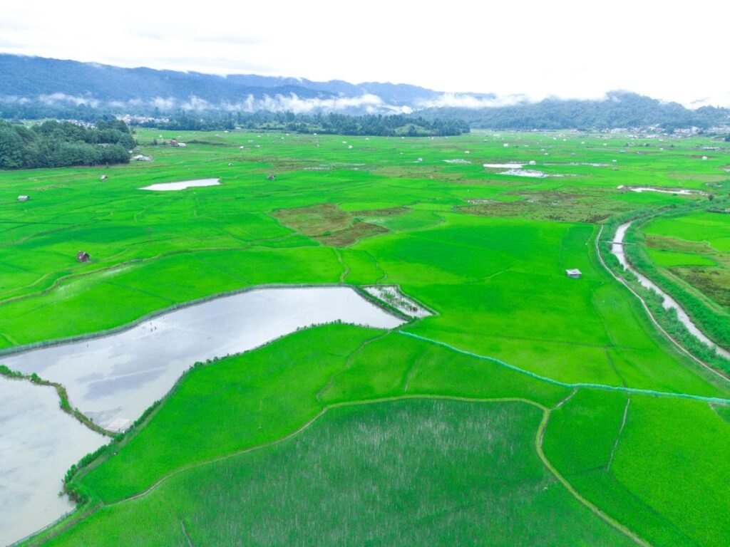 Ziro Valley's Scenic Greenery and Natural Beauty in Arunachal Pradesh Lush green landscape of Ziro Valley with rolling hills, vibrant paddy fields, and dense greenery spread across the valley in Arunachal Pradesh