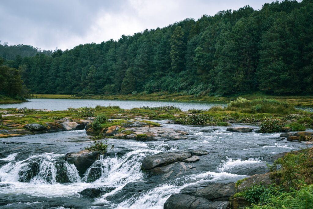 Weekend Trips from Bangalore – Best Getaway Destinations Near Bangalore Scenic weekend trips from Bangalore featuring lush green hills, waterfalls, winding roads, and popular getaway destinations for travelers and nature lovers